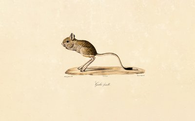  - Jacques Christophe Werner