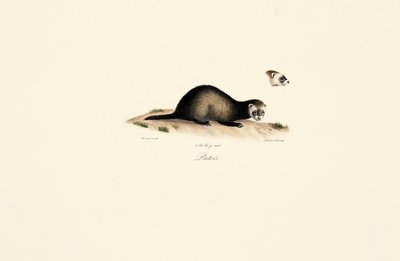 - Jacques Christophe Werner