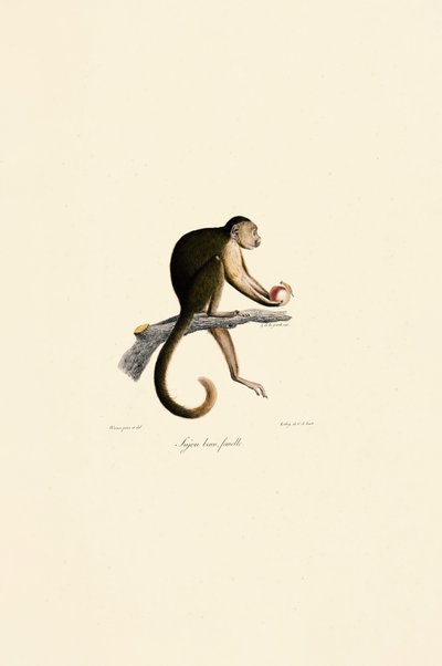  - Jacques Christophe Werner