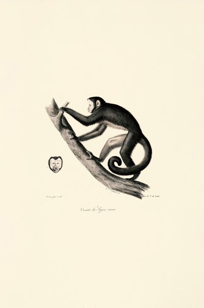  - Jacques Christophe Werner