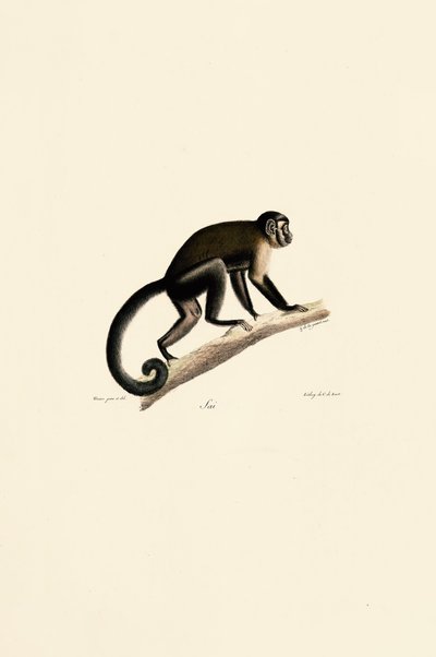  - Jacques Christophe Werner
