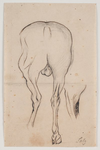 Cheval vu de dos et une jambe de cheval - Jacques Francois Joseph Saly
