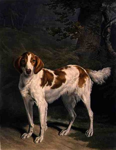 Dash - Jacques Laurent (after) Agasse