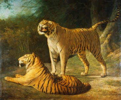 Un tigre et une tigresse à la ménagerie d