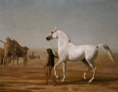 Le Wellesley Grey Arabian conduit à travers le désert - Jacques Laurent Agasse