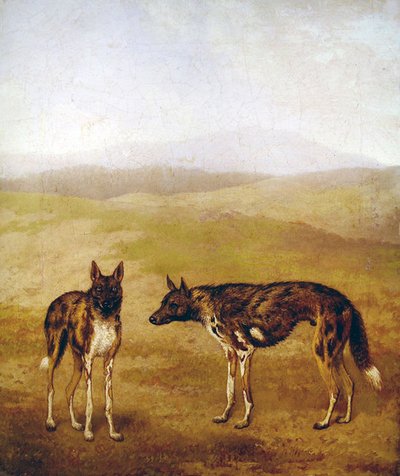 Deux chiens de chasse africains - Jacques Laurent Agasse