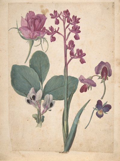 Une feuille d