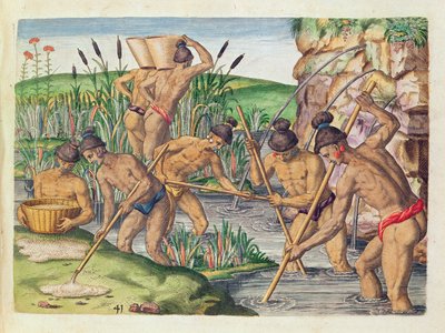 Comment les Indiens collectent l