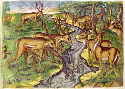 Chasse au cerf, de 