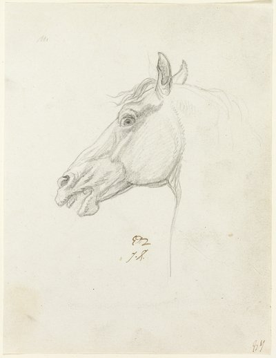 Tête de cheval - Jacques Louis David