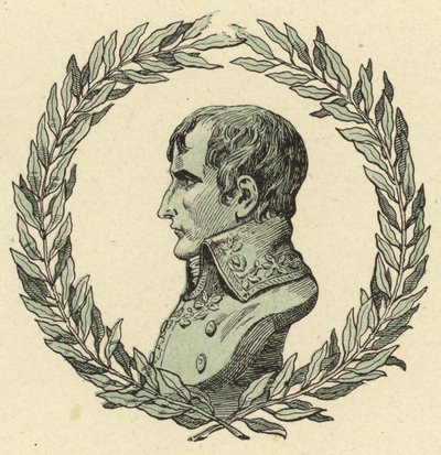 Buste de Napoléon Bonaparte - Jacques Marie Gaston Onfray de Breville (Job)