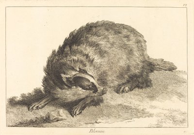 Blaireau - Jacques Philippe Le Bas and Jean Eric Rehn after Jean Baptiste Oudry