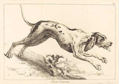 Chien courant - Jacques Philippe Le Bas and Jean Eric Rehn after Jean Baptiste Oudry