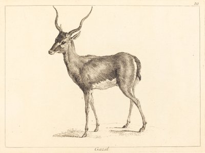 Gazelle - Jacques Philippe Le Bas and Jean Eric Rehn after Jean Baptiste Oudry