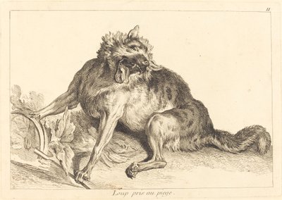 Loup pris au piège - Jacques Philippe Le Bas and Jean Eric Rehn after Jean Baptiste Oudry
