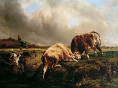 Lutte de taureaux - Jacques Raymond Brascassat
