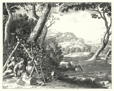 Attraper des oiseaux - Jacques Stella