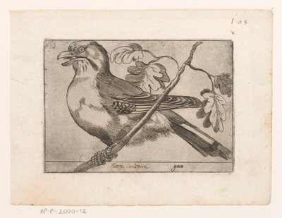 Geai - Jacques de Fornazeris (possibly)