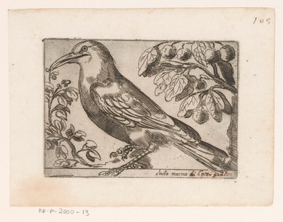 Oiseau - Jacques de Fornazeris (possibly)