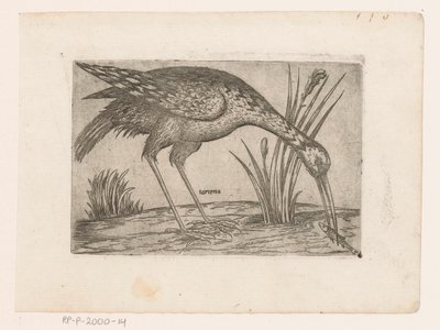 Oiseau - Jacques de Fornazeris (possibly)