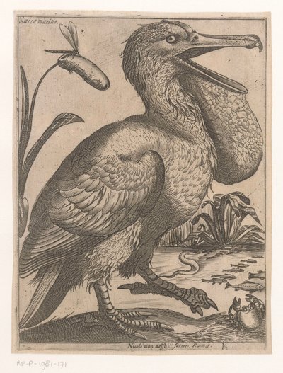 Oiseau aquatique - Jacques de Fornazeris