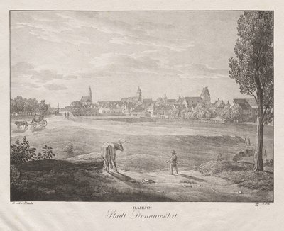 Bavière, ville de Donauwörth - Jakob Alt
