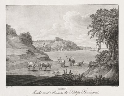 Syrmie, marché et ruines du château de Sharengrad - Jakob Alt