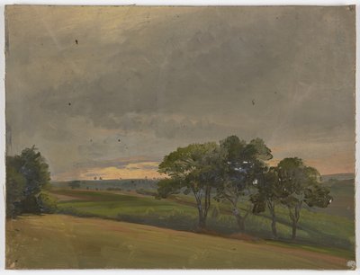 Prairie du soir avec des arbres - Jakob Becker