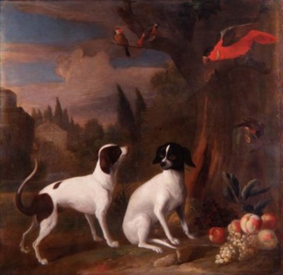 Deux chiens dans un paysage - Jakob Bogdani or Bogdany