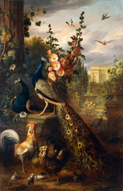 Deux paons sur un socle en pierre dans un jardin - Jakob Bogdani or Bogdany