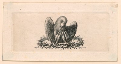 Vignette, Le Pélican dans la Couronne d