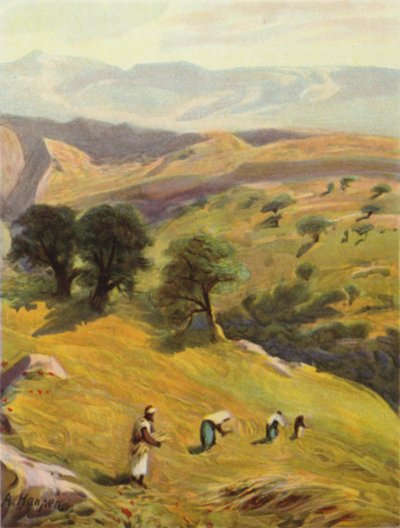 Entre Jérusalem et Jéricho (lithographie en couleur) - James (after) Clark