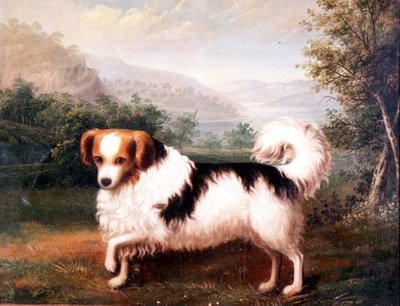 Un Papillon Phallène dans un Paysage des Highlands - James (attr. to) Barenger