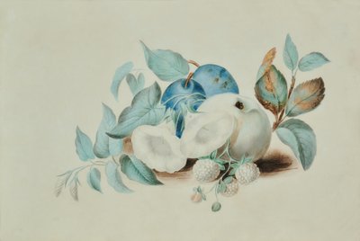 Nature morte - James (attr.to) Goddard