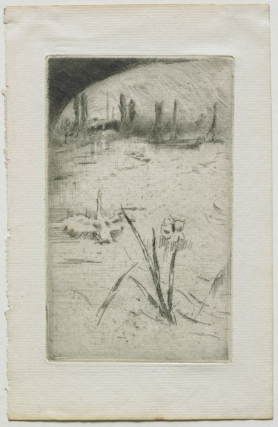 Cygne et Iris, 1883 - James Abbott McNeill Whistler