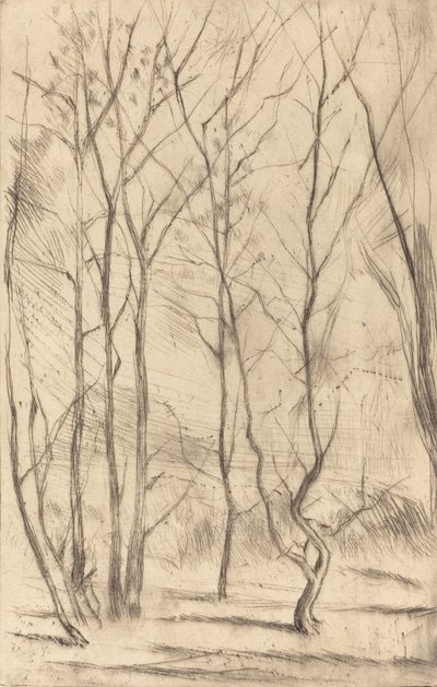 Le Bois du barrage, 1875 - James Abbott McNeill Whistler