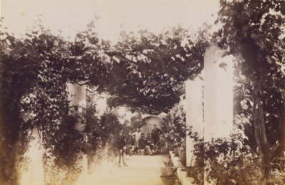Jardin - Capri - James Anderson