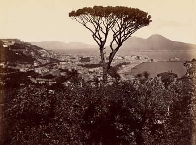 Panorama de Naples - James Anderson