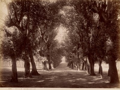 Villa Borghese - James Anderson