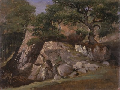 Vue de la vallée des Roches près de Mittlach (Alsace) - James Arthur OConnor