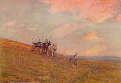 Sur les Downs près de Harting, 1906 - James Aumonier