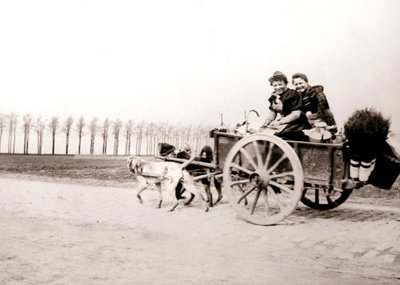 Chiens tirant des femmes sur une charrette, Anvers - James Batkin