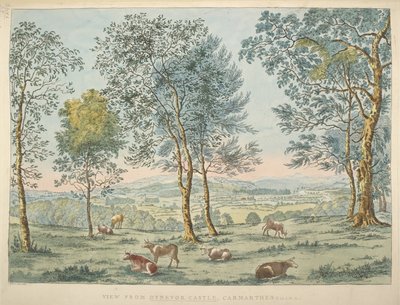 Vue du château de Dynevor, Carmarthen - James Bretherton