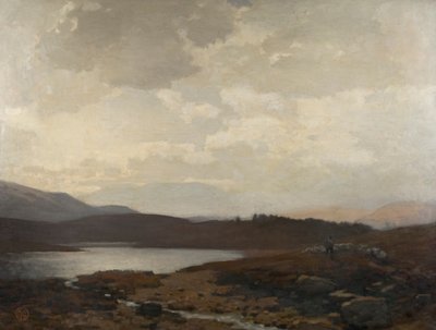 Dinnet Moor - James Cadenhead
