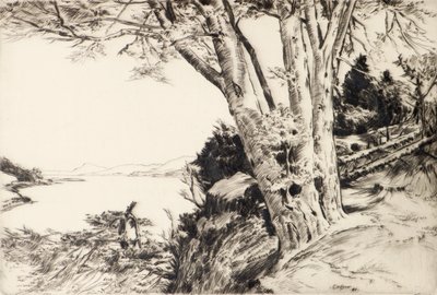 Le Hêtre - James Cadzow