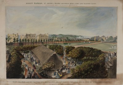 Vue des promenades et des jardins de l