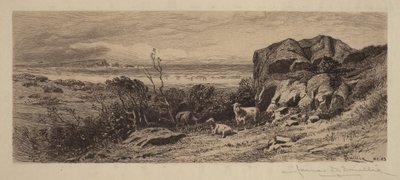 Un coin de Marblehead Neck - James David Smillie