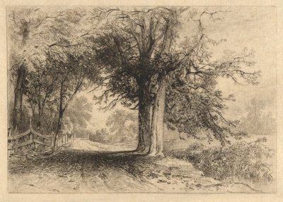 Un chemin de ferme, janvier 1887, Opus 2 - James David Smillie