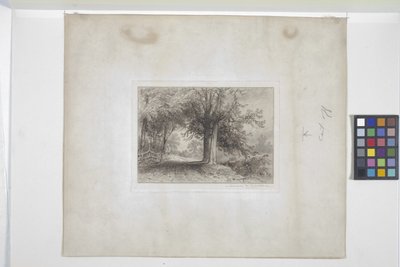 Paysage - James David Smillie