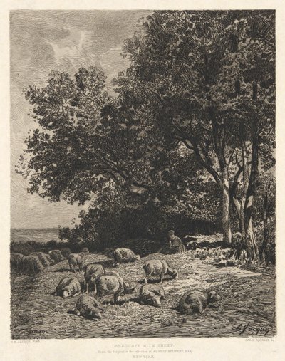 Paysage avec moutons, d